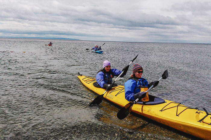 Kayak, Punta Arenas, Kayak en bahía Agua Fresca