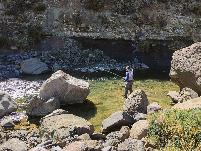 パタゴニアでのフライフィッシング | ツアーや価格のエクスカーション