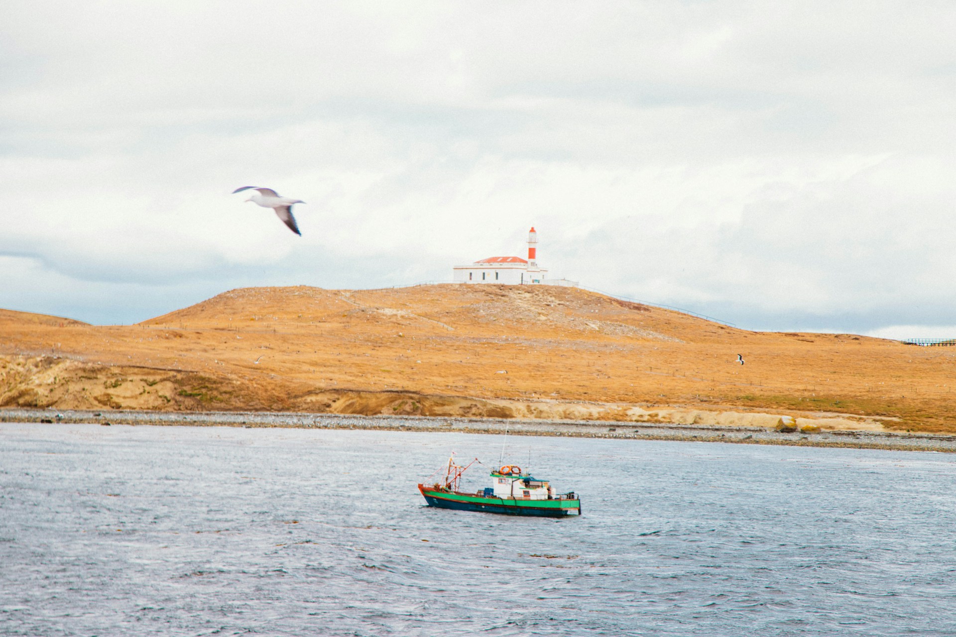 Boat sailing in front of the lighthouse of Magdalena Island in the Magallanes Region, Chile