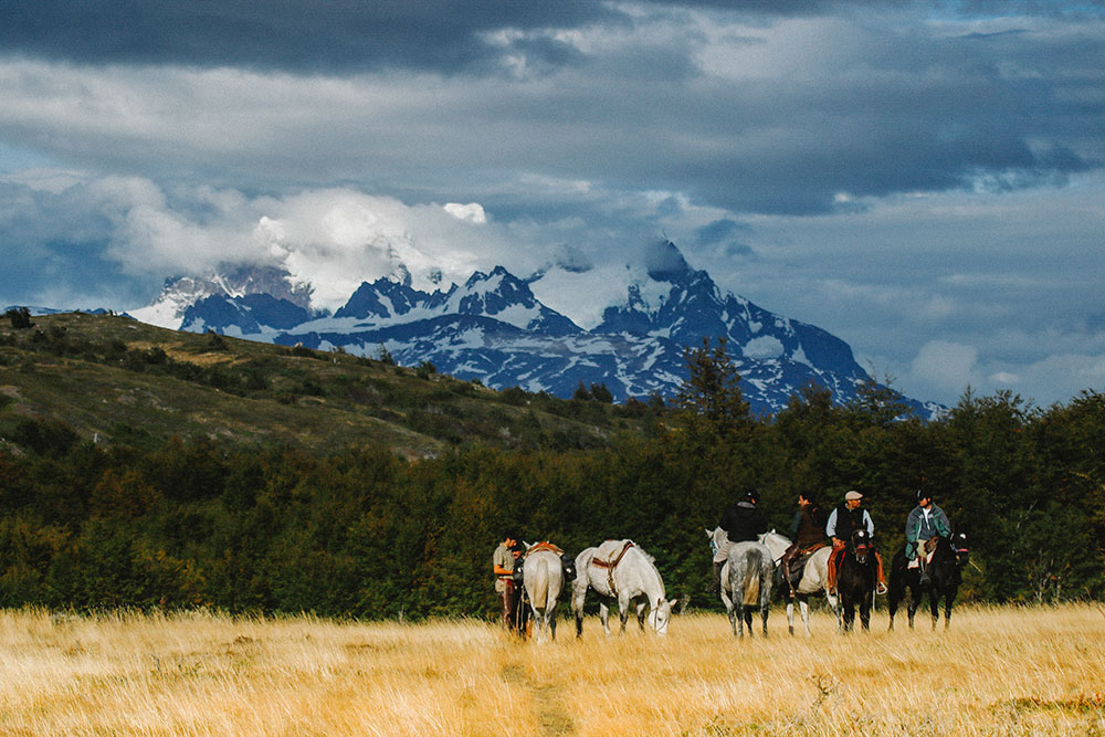 Group of riders riding through a meadow in Chilean Patagonia with snowy mountains in the background