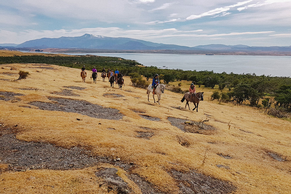 Group of riders horseback riding near the coast overlooking the lake in Chilean Patagonia