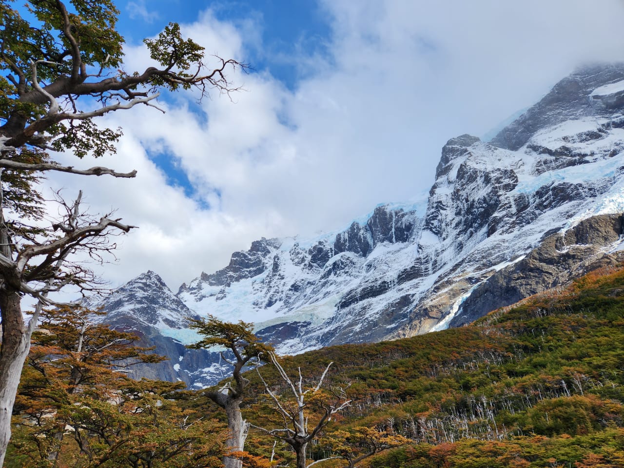 Snowy mountains and Patagonian forest in autumn tones in Torres del Paine.