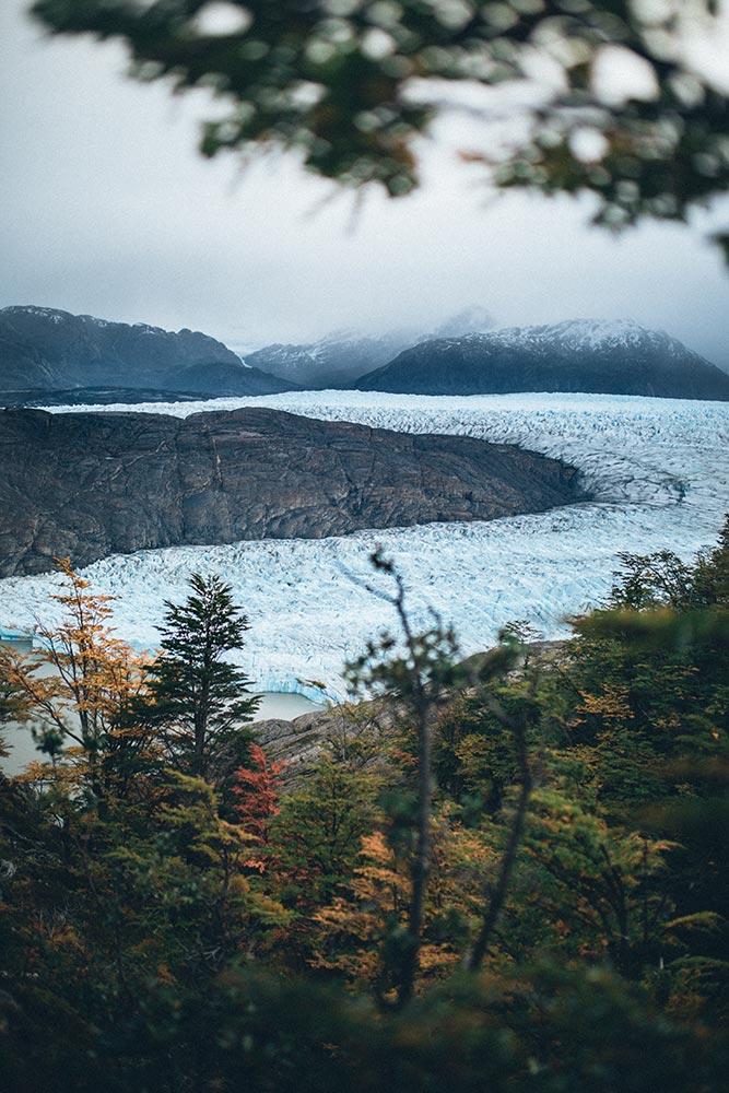 View of the Grey Glacier from a viewpoint surrounded by autumnal Patagonian forest, in Torres del Paine National Park.