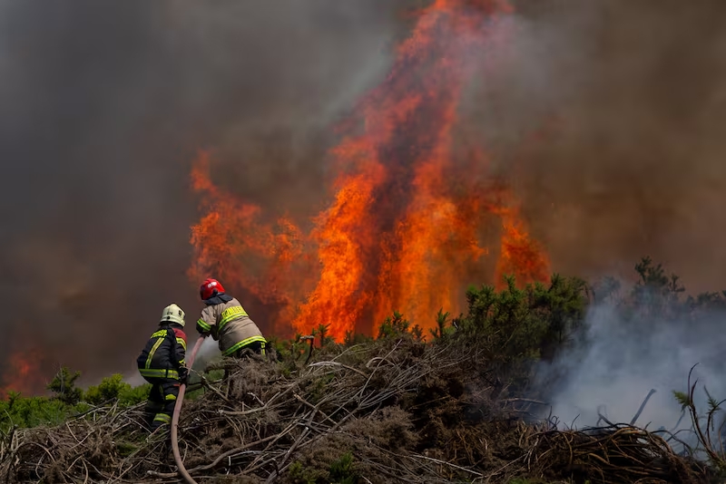 Firefighters combating a wildfire with intense flames and dense smoke in a wooded area.