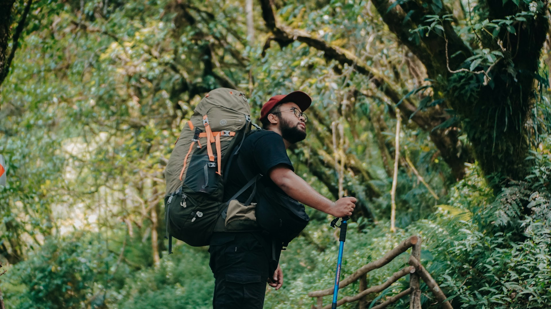 Hiker with a trekking backpack and pole walking on a trail in the forest.